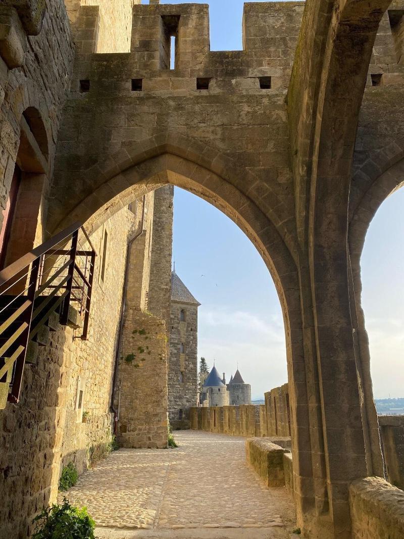Vue Sur Cite - Spa Carcassonne Eksteriør billede